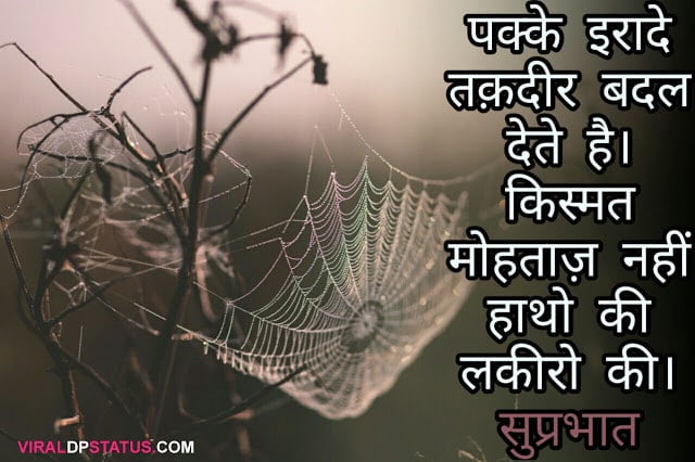 pakke irade good morning msg