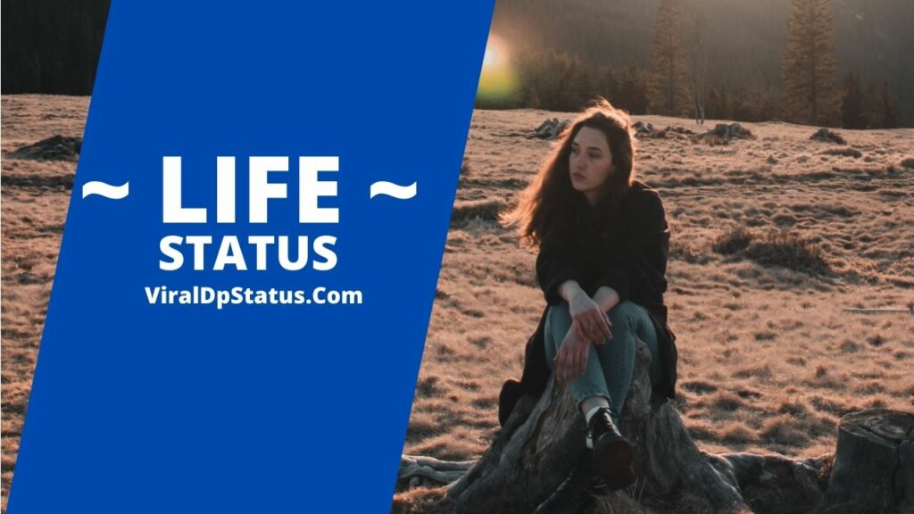 2023 English status for fb FB Attitude status Viral Dp Status