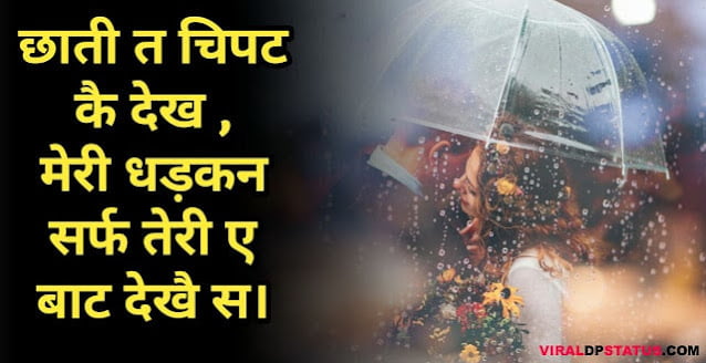 lovely haryanvi staus lovely haryanvi staus