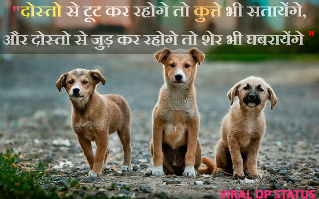 Dosti Shayari, Dosti Shayari in Hindi, Dosti status, Dosti SMS, friendship status, Friendship Shayari, Hindi Dosti Shayari,Friendship Sms Shayari, Best Dosti Status, New Dosti Status,2 line shayari